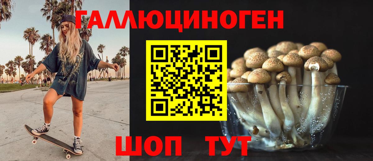 Галлюциногенные грибы прущие грибы Амурск